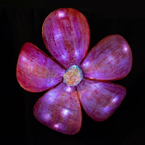 Coral Flower illuminated
