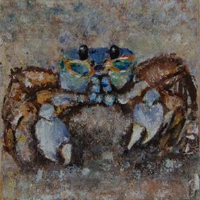 Tiny Crab in Blue