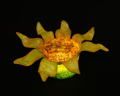 Super Sunflowersold